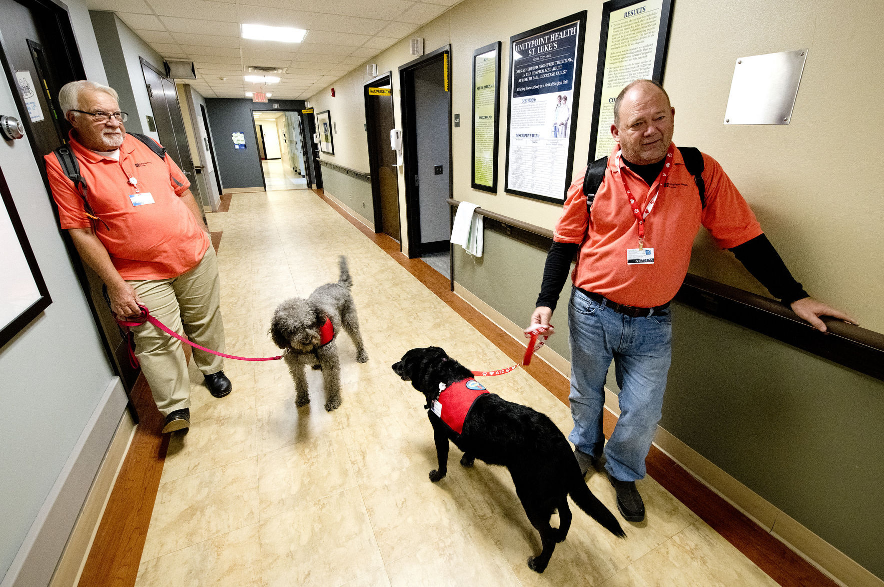 Hospital pet therapy